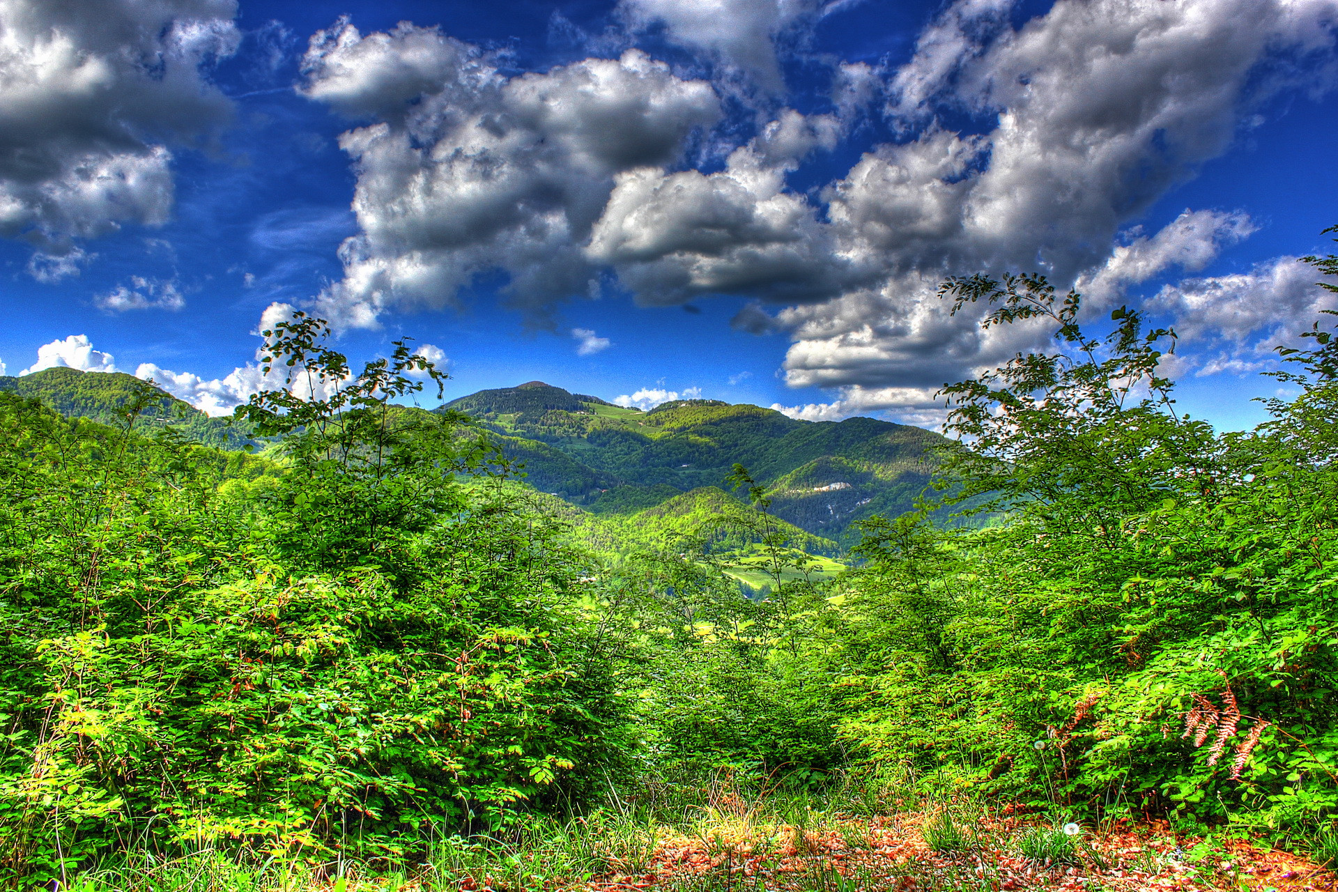 , zagorje, ob, savi, , , 